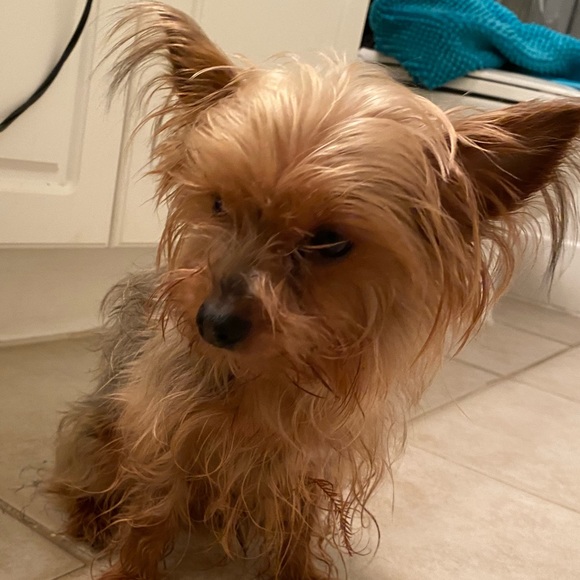 Meet your Posher, Banx - Picture 3 of 17